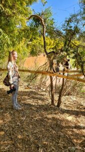 Madagascar_2024_L-47