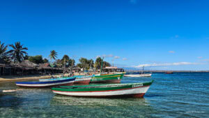 Madagascar_2024_L-51