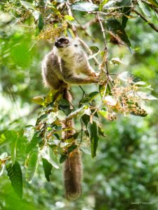 Madagascar_2024_L-54