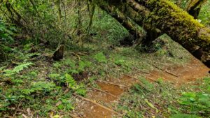 Madagascar_2024_L-56