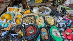 Madagascar_2024_L-65