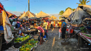 Madagascar_2024_L-67