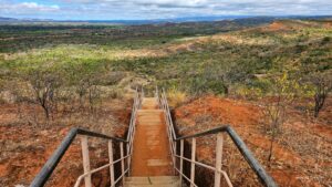 Madagascar_2024_L-72