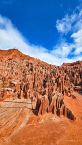 Madagascar_2024_L-77