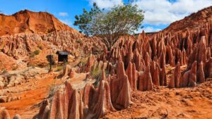 Madagascar_2024_L-79