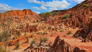 Madagascar_2024_L-80