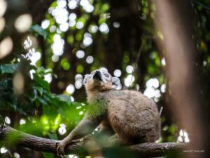 Madagascar_2024_L-82