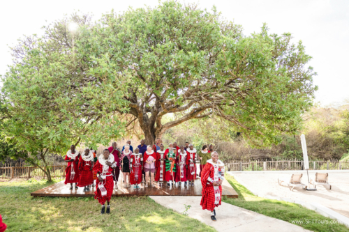 TZ Value 21 Sep 2024 Tatiana S-014