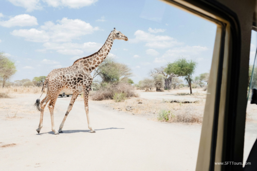 TZ Value 21 Sep 2024 Tatiana S-061