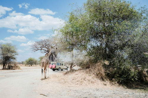 TZ Value 21 Sep 2024 Tatiana S-066