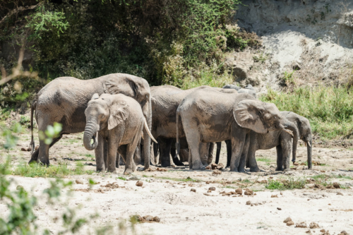 TZ Value 21 Sep 2024 Tatiana S-071