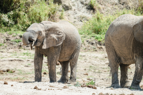 TZ Value 21 Sep 2024 Tatiana S-074