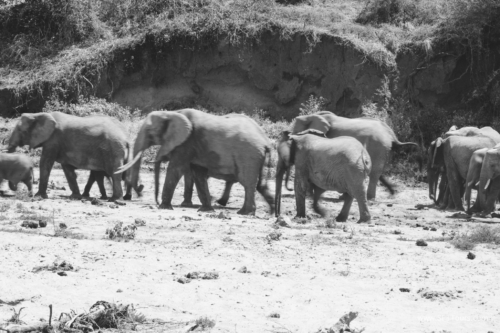 TZ Value 21 Sep 2024 Tatiana S-076