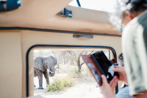 TZ Value 21 Sep 2024 Tatiana S-094