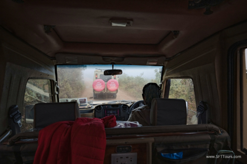 TZ Value 21 Sep 2024 Tatiana S-097