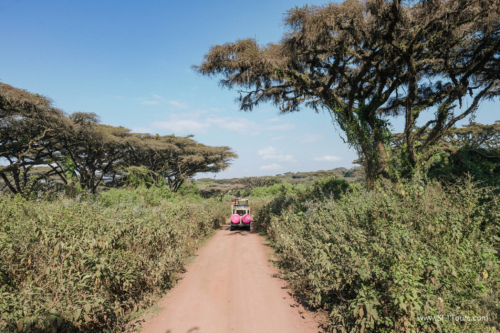 TZ Value 21 Sep 2024 Tatiana S-099