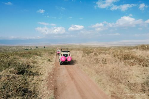 TZ Value 21 Sep 2024 Tatiana S-105