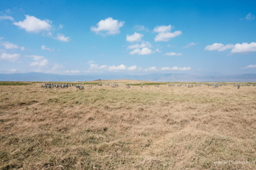 TZ Value 21 Sep 2024 Tatiana S-107