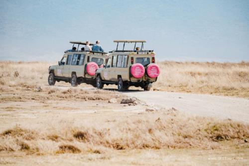 TZ Value 21 Sep 2024 Tatiana S-134