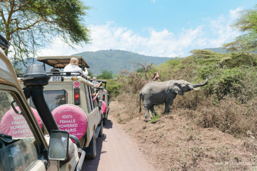 TZ Value 21 Sep 2024 Tatiana S-141