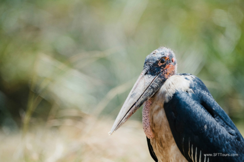 TZ Value 21 Sep 2024 Tatiana S-157