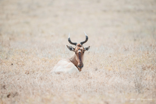 TZ Value 21 Sep 2024 Tatiana S-160