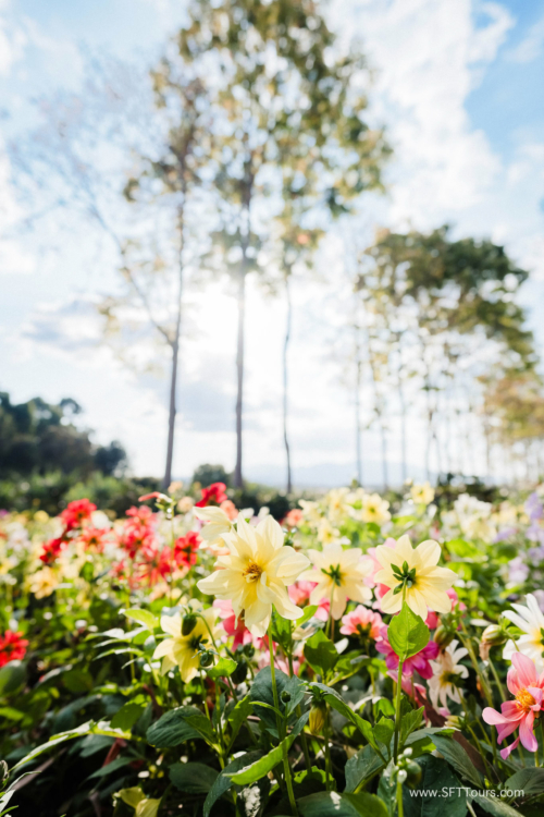 TZ Value 21 Sep 2024 Tatiana S-176