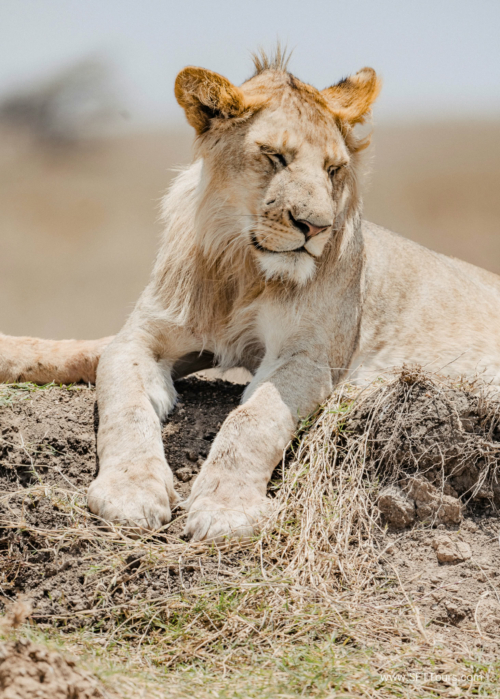 TZ Value 21 Sep 2024 Tatiana S-192