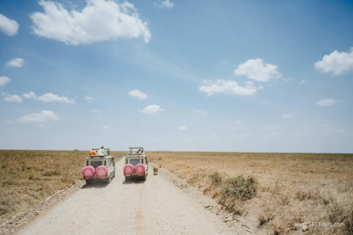 TZ Value 21 Sep 2024 Tatiana S-227