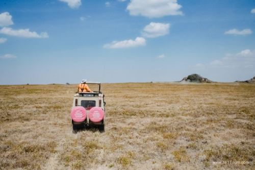 TZ Value 21 Sep 2024 Tatiana S-252