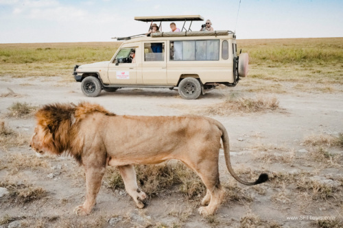 TZ Value 21 Sep 2024 Tatiana S-253