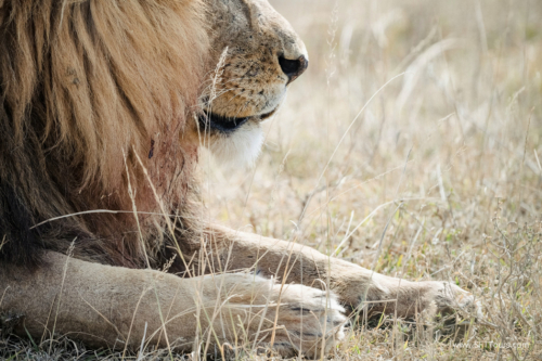 TZ Value 21 Sep 2024 Tatiana S-268