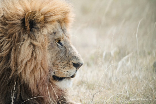 TZ Value 21 Sep 2024 Tatiana S-269