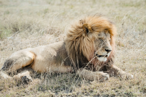 TZ Value 21 Sep 2024 Tatiana S-270