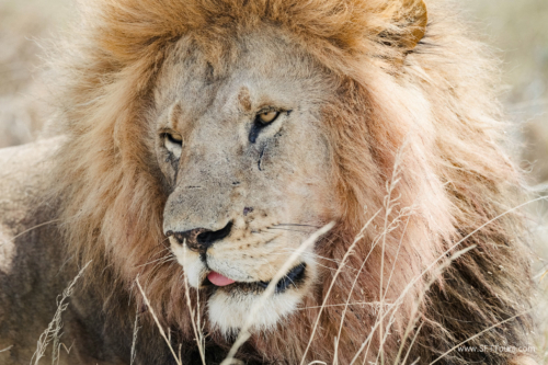 TZ Value 21 Sep 2024 Tatiana S-273