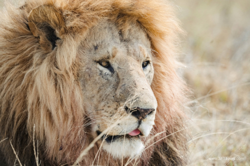 TZ Value 21 Sep 2024 Tatiana S-274