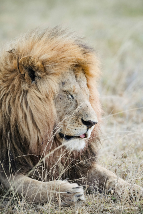 TZ Value 21 Sep 2024 Tatiana S-276