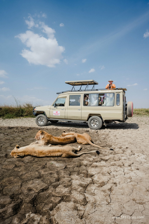 TZ Value 21 Sep 2024 Tatiana S-280