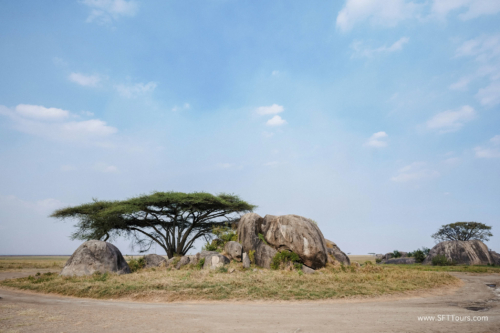 TZ Value 21 Sep 2024 Tatiana S-284