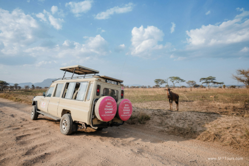 TZ Value 21 Sep 2024 Tatiana S-289