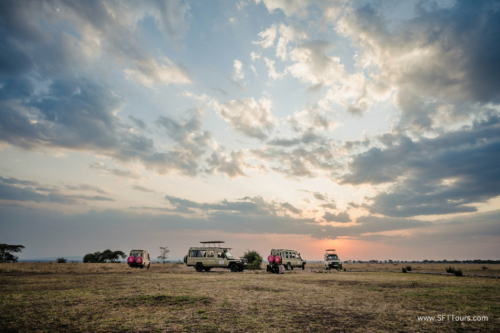 TZ Value 21 Sep 2024 Tatiana S-296