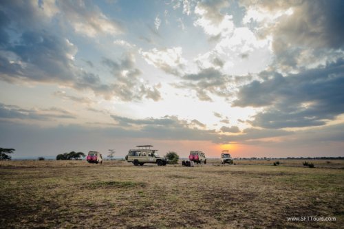 TZ Value 21 Sep 2024 Tatiana S-297