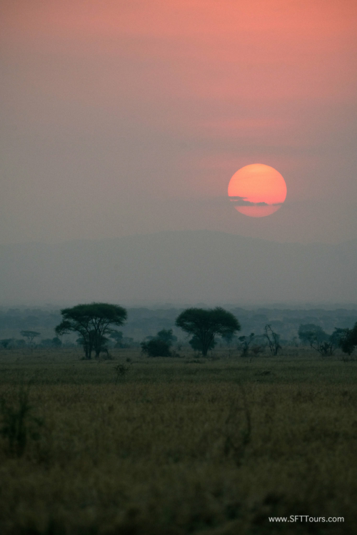 TZ Value 21 Sep 2024 Tatiana S-304