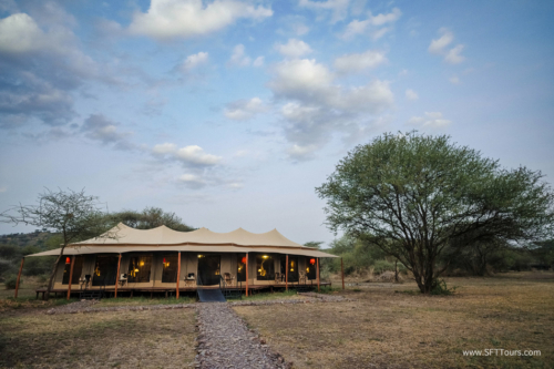 TZ Value 21 Sep 2024 Tatiana S-306