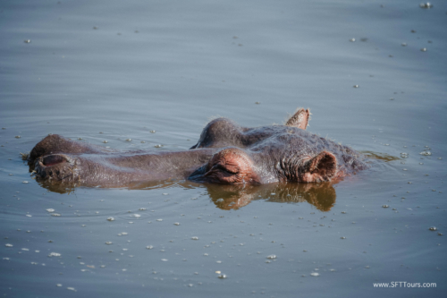 TZ Value 21 Sep 2024 Tatiana S-326