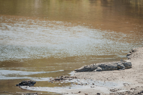 TZ Value 21 Sep 2024 Tatiana S-335