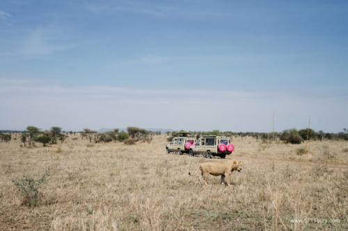 TZ Value 21 Sep 2024 Tatiana S-342