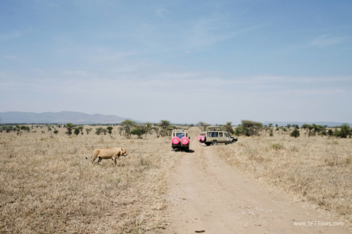 TZ Value 21 Sep 2024 Tatiana S-344