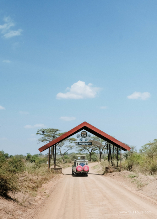 TZ Value 21 Sep 2024 Tatiana S-347