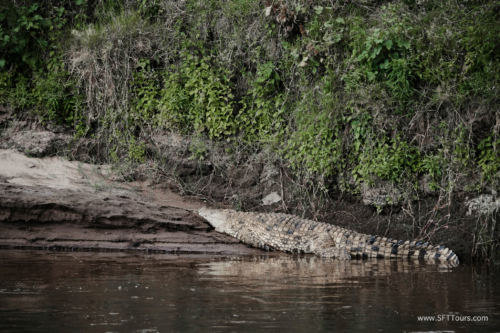 TZ Value 21 Sep 2024 Tatiana S-352